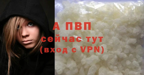 трава Осинники