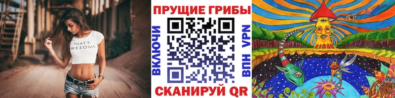 Галлюциногенные грибы MAGIC MUSHROOMS  закладки  Касли 